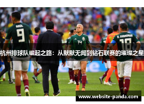 杭州排球队崛起之路：从默默无闻到钻石联赛的璀璨之星