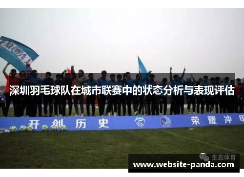 深圳羽毛球队在城市联赛中的状态分析与表现评估