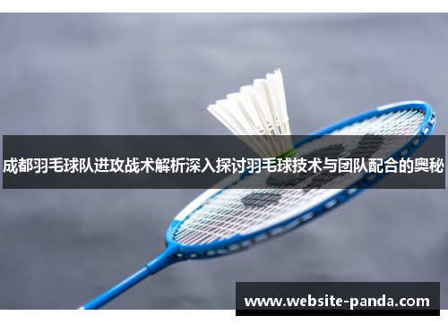 成都羽毛球队进攻战术解析深入探讨羽毛球技术与团队配合的奥秘