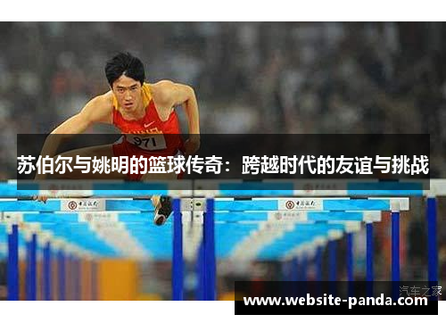 苏伯尔与姚明的篮球传奇：跨越时代的友谊与挑战