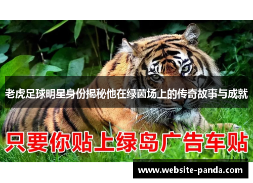 老虎足球明星身份揭秘他在绿茵场上的传奇故事与成就